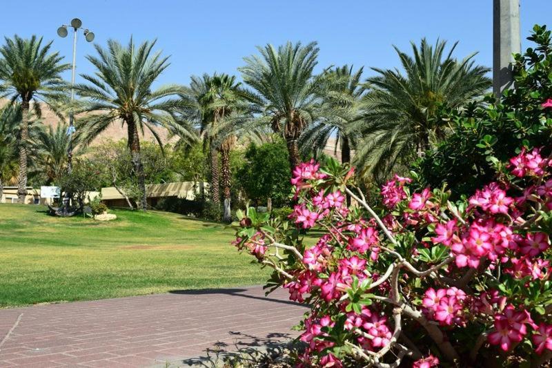 כפר נופש קלי"ה ים המלח Hotel Kalia  Exterior foto